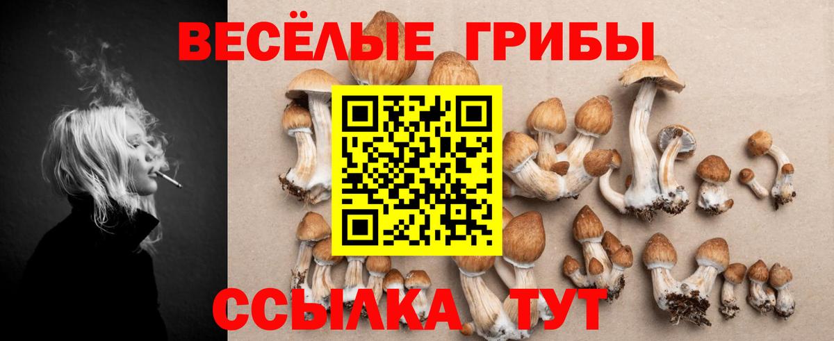 Галлюциногенные грибы Magic Shrooms Дальнереченск
